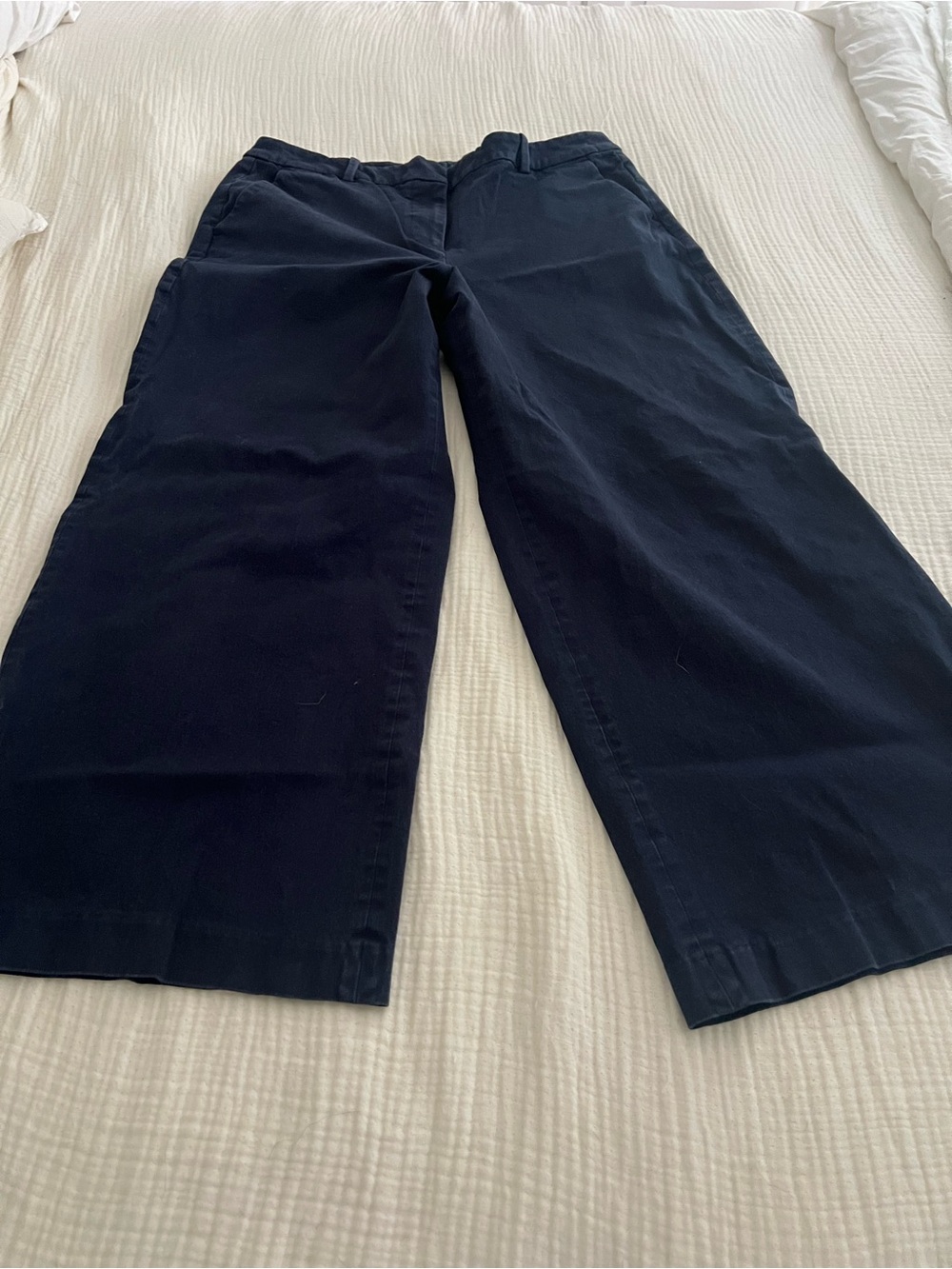 J. Crew Remy Navy Blue Pants